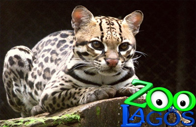 Zoo de Lagos